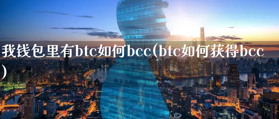 我钱包里有btc如何bcc(btc如何获得bcc)_https://www.baokan.net_币圈行情_第1张