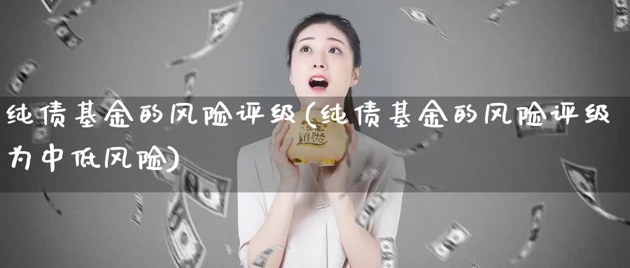 纯债基金的风险评级(纯债基金的风险评级为中低风险)_内盘期货_第1张_宝勘金融网 纯债基金的风险评级(纯债基金的风险评级为中低风险)_https://www.baokan.net_内盘期货_第1张