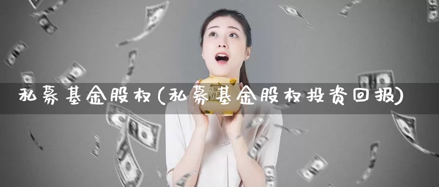 私募基金股权(私募基金股权投资回报)_https://www.baokan.net_黄金期货_第1张