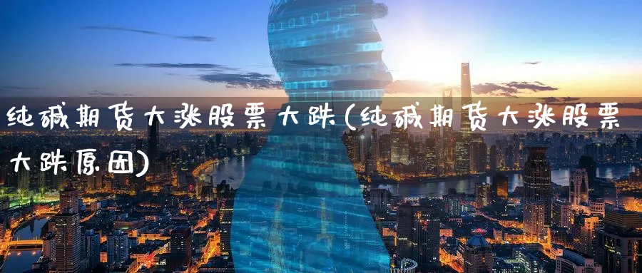 纯碱期货大涨股票大跌(纯碱期货大涨股票大跌原因)_https://www.baokan.net_期货百科_第1张