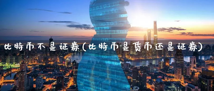 比特币不是证券(比特币是货币还是证券)_https://www.baokan.net_币圈行情_第1张