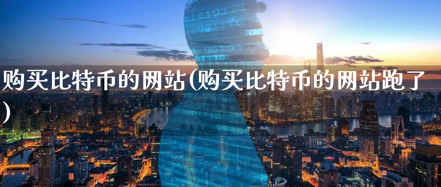 购买比特币的网站(购买比特币的网站跑了)_https://www.baokan.net_币圈行情_第1张