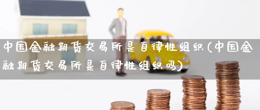 中国金融期货交易所是自律性组织(中国金融期货交易所是自律性组织吗)_https://www.baokan.net_期货百科_第1张