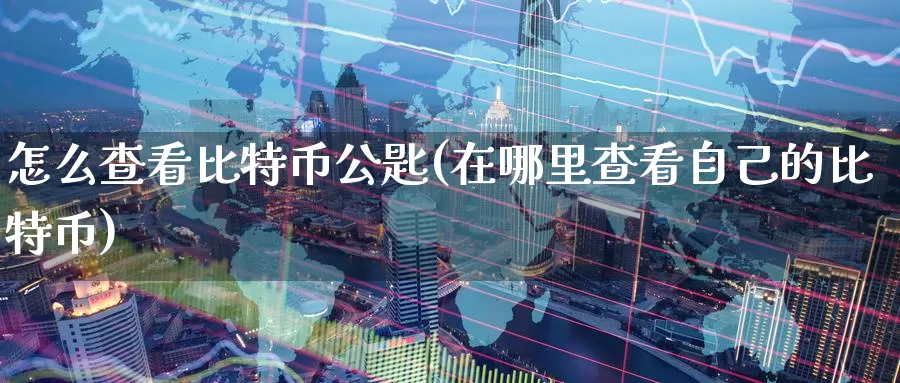 怎么查看比特币公匙(在哪里查看自己的比特币)_https://www.baokan.net_币圈行情_第1张