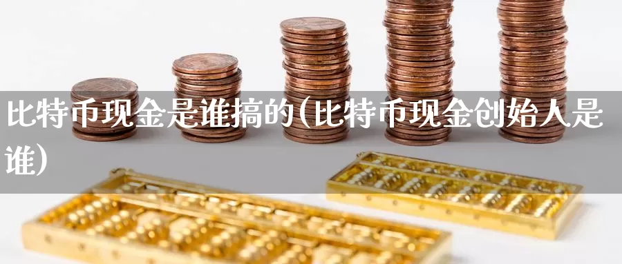 比特币现金是谁搞的(比特币现金创始人是谁)_https://www.baokan.net_币圈行情_第1张
