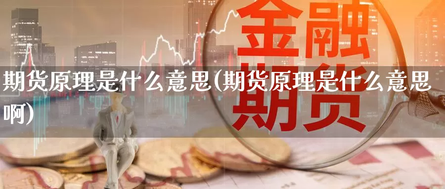 期货原理是什么意思(期货原理是什么意思啊)_期货开户_第1张_宝勘金融网 期货原理是什么意思(期货原理是什么意思啊)_https://www.baokan.net_期货开户_第1张