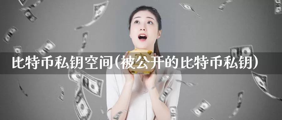 比特币私钥空间(被公开的比特币私钥)_https://www.baokan.net_币圈行情_第1张