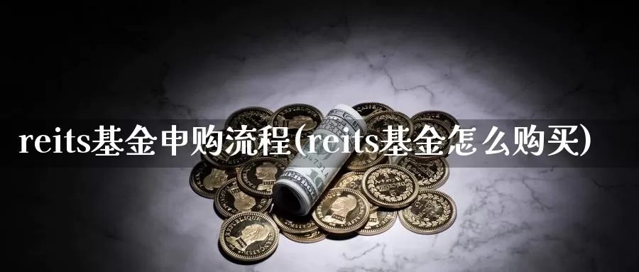 reits基金申购流程(reits基金怎么购买)_https://www.baokan.net_期货品种_第1张