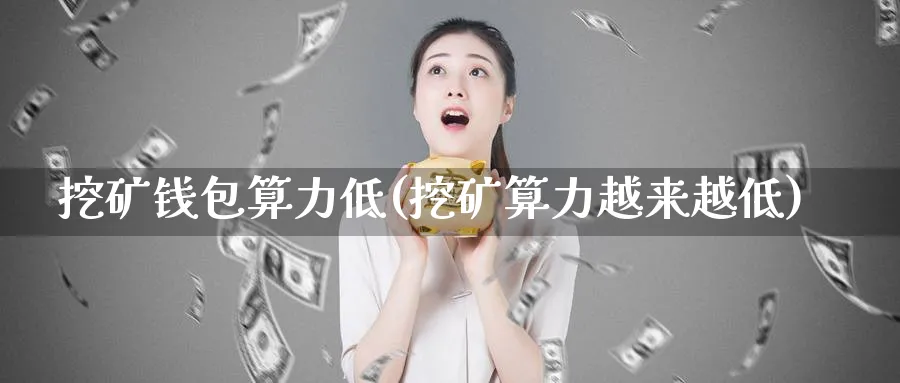 挖矿钱包算力低(挖矿算力越来越低)_https://www.baokan.net_币圈行情_第1张