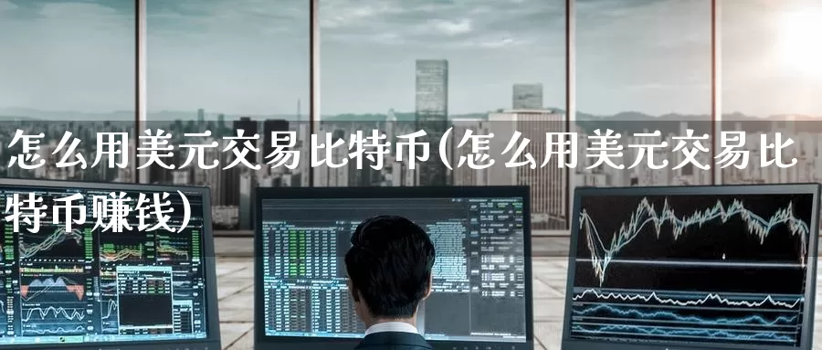 怎么用美元交易比特币(怎么用美元交易比特币赚钱)_https://www.baokan.net_币圈行情_第1张