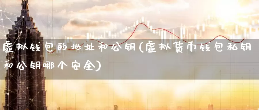 虚拟钱包的地址和公钥(虚拟货币钱包私钥和公钥哪个安全)_https://www.baokan.net_币圈行情_第1张