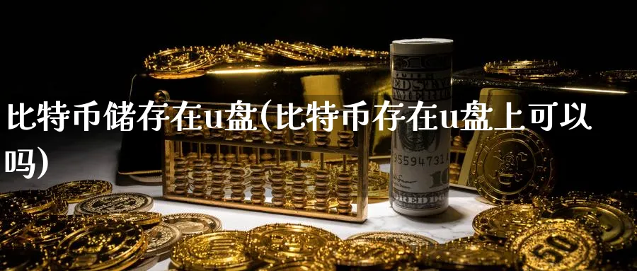 比特币储存在u盘(比特币存在u盘上可以吗)_https://www.baokan.net_期货百科_第1张