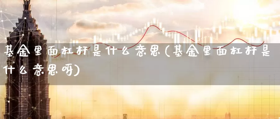 基金里面杠杆是什么意思(基金里面杠杆是什么意思呀)_期货技术_第1张_宝勘金融网 基金里面杠杆是什么意思(基金里面杠杆是什么意思呀)_https://www.baokan.net_期货技术_第1张