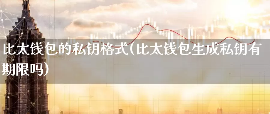 比太钱包的私钥格式(比太钱包生成私钥有期限吗)_https://www.baokan.net_币圈行情_第1张