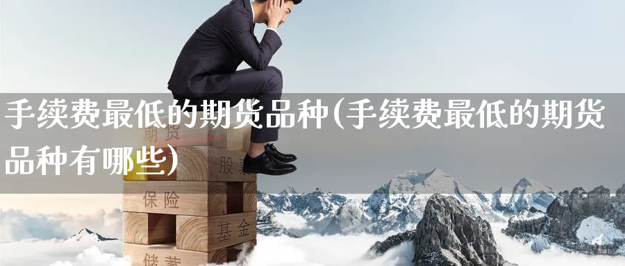 手续费最低的期货品种(手续费最低的期货品种有哪些)_https://www.baokan.net_期货软件_第1张
