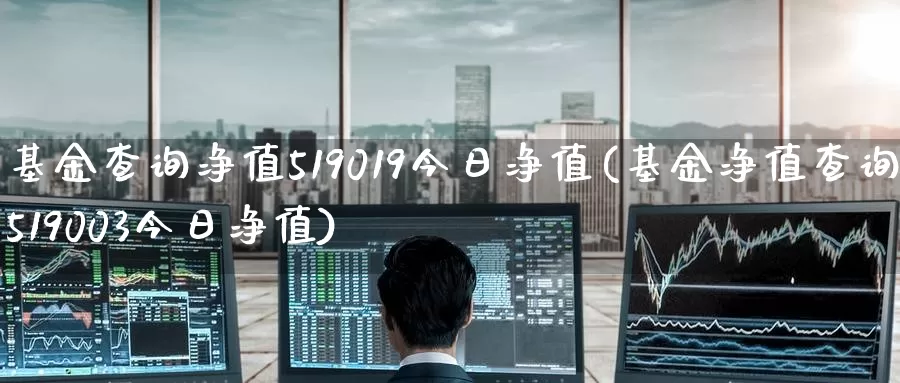 基金查询净值519019今日净值(基金净值查询519003今日净值)_https://www.baokan.net_恒指期货_第1张