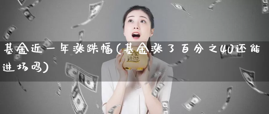 基金近一年涨跌幅(基金涨了百分之40还能进场吗)_https://www.baokan.net_期货开户_第1张