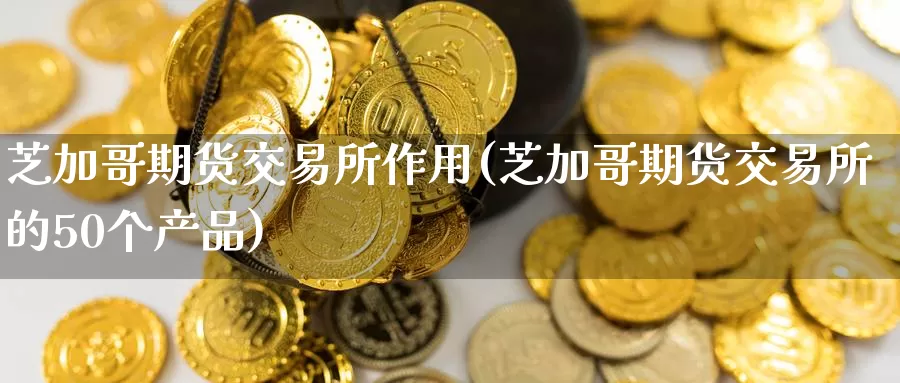 芝加哥期货交易所作用(芝加哥期货交易所的50个产品)_https://www.baokan.net_期货交易_第1张