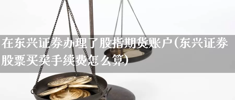 在东兴证券办理了股指期货账户(东兴证券股票买卖手续费怎么算)_内盘期货_第1张_宝勘金融网 在东兴证券办理了股指期货账户(东兴证券股票买卖手续费怎么算)_https://www.baokan.net_内盘期货_第1张