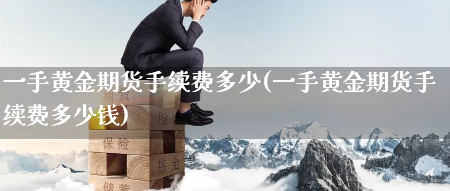 一手黄金期货手续费多少(一手黄金期货手续费多少钱)_https://www.baokan.net_期货行情_第1张