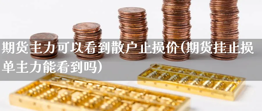 期货主力可以看到散户止损价(期货挂止损单主力能看到吗)_https://www.baokan.net_期货开户_第1张