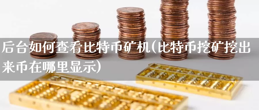 后台如何查看比特币矿机(比特币挖矿挖出来币在哪里显示)_https://www.baokan.net_币圈行情_第1张