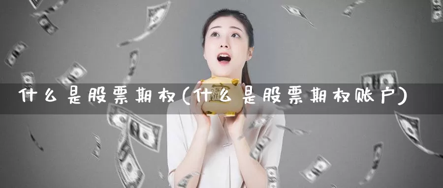 什么是股票期权(什么是股票期权账户)_https://www.baokan.net_期货品种_第1张