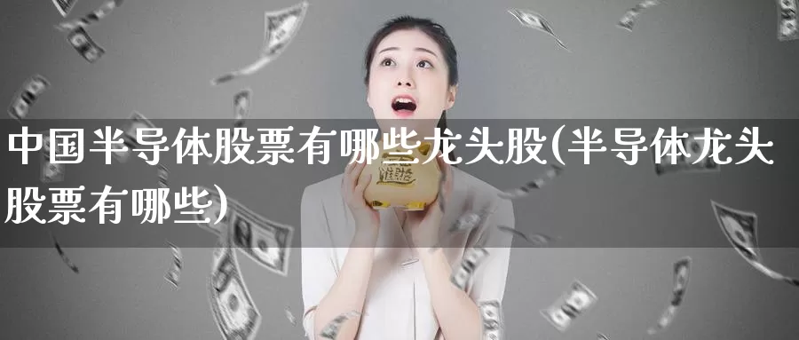 中国半导体股票有哪些龙头股(半导体龙头股票有哪些)_https://www.baokan.net_期货品种_第1张