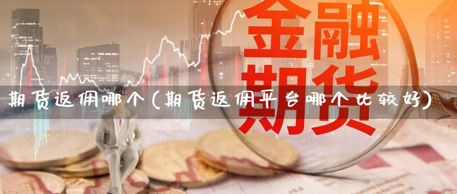 期货返佣哪个(期货返佣平台哪个比较好)_https://www.baokan.net_期货开户_第1张