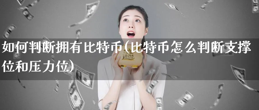 如何判断拥有比特币(比特币怎么判断支撑位和压力位)_https://www.baokan.net_币圈行情_第1张