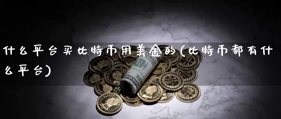 什么平台买比特币用美金的(比特币都有什么平台)_https://www.baokan.net_币圈行情_第1张