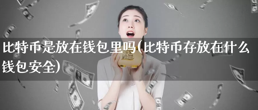 比特币是放在钱包里吗(比特币存放在什么钱包安全)_https://www.baokan.net_币圈行情_第1张