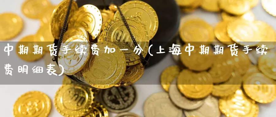 中期期货手续费加一分(上海中期期货手续费明细表)_https://www.baokan.net_期货平台_第1张