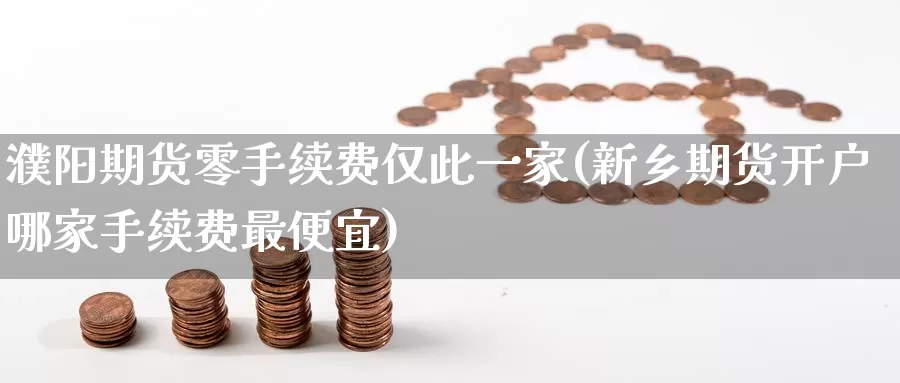 濮阳期货零手续费仅此一家(新乡期货开户哪家手续费最便宜)_https://www.baokan.net_期货分析_第1张