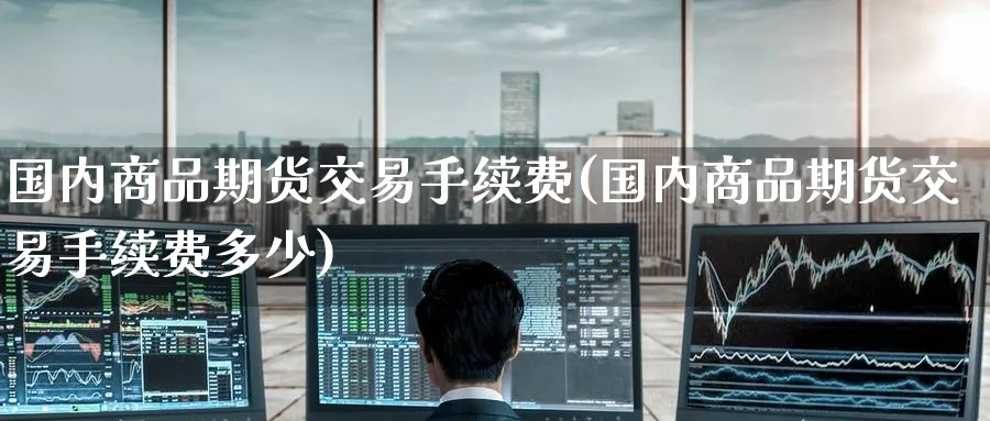 国内商品期货交易手续费(国内商品期货交易手续费多少)_https://www.baokan.net_期货软件_第1张