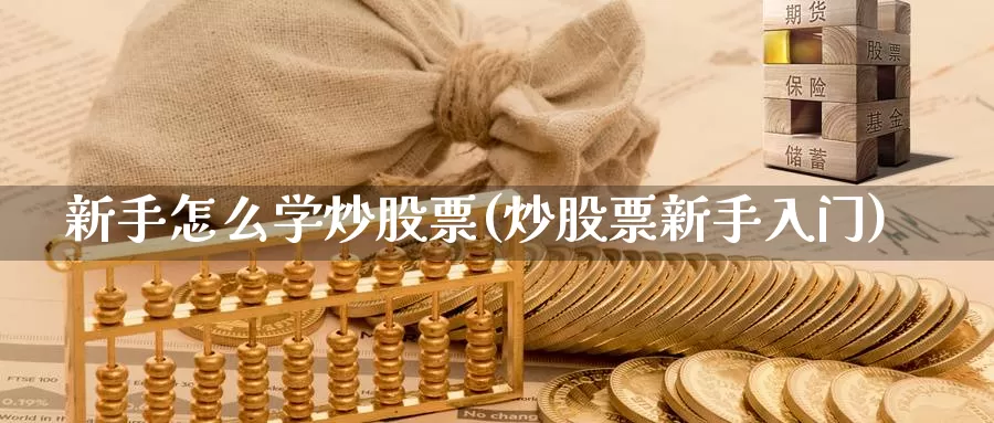 新手怎么学炒股票(炒股票新手入门)_https://www.baokan.net_期货公司_第1张