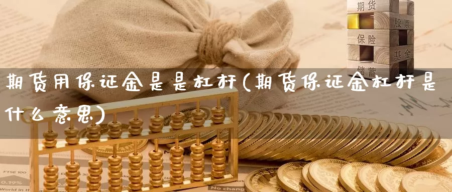 期货用保证金是是杠杆(期货保证金杠杆是什么意思)_https://www.baokan.net_股指期货_第1张