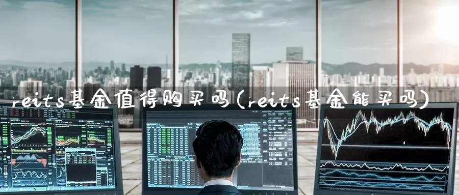 reits基金值得购买吗(reits基金能买吗)_国际期货_第1张_宝勘金融网 reits基金值得购买吗(reits基金能买吗)_https://www.baokan.net_国际期货_第1张