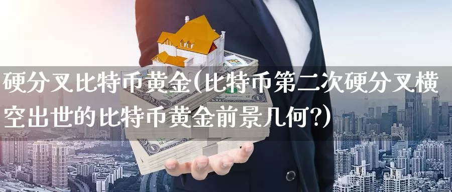 硬分叉比特币黄金(比特币第二次硬分叉横空出世的比特币黄金前景几何?)_https://www.baokan.net_币圈行情_第1张