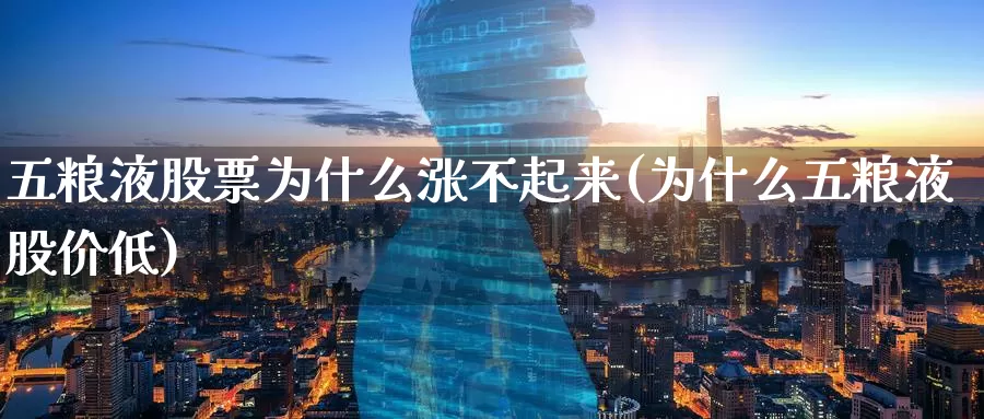五粮液股票为什么涨不起来(为什么五粮液股价低)_https://www.baokan.net_国际期货_第1张