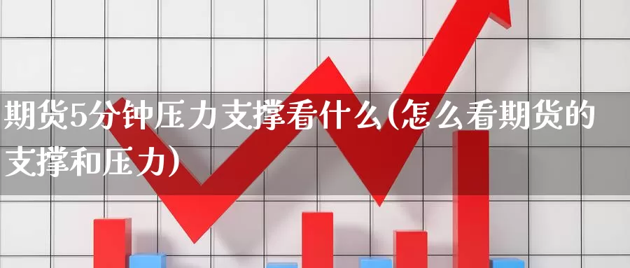 期货5分钟压力支撑看什么(怎么看期货的支撑和压力)_https://www.baokan.net_期货技术_第1张