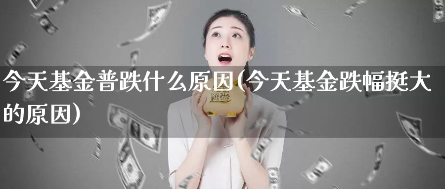 今天基金普跌什么原因(今天基金跌幅挺大的原因)_https://www.baokan.net_币圈行情_第1张