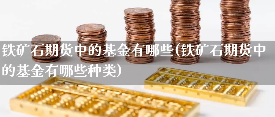 铁矿石期货中的基金有哪些(铁矿石期货中的基金有哪些种类)_https://www.baokan.net_恒生指数_第1张