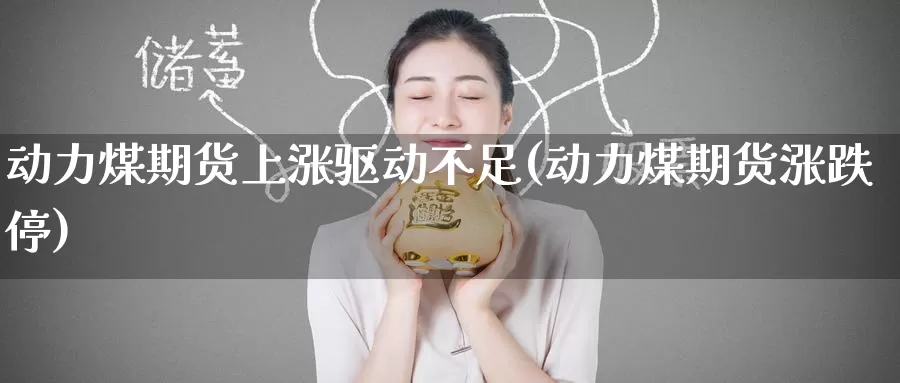 动力煤期货上涨驱动不足(动力煤期货涨跌停)_https://www.baokan.net_期货开户_第1张