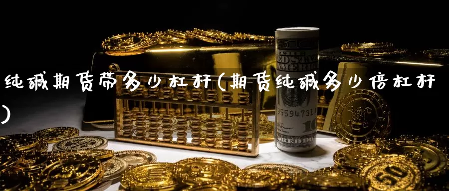 纯碱期货带多少杠杆(期货纯碱多少倍杠杆)_https://www.baokan.net_纳指期货_第1张