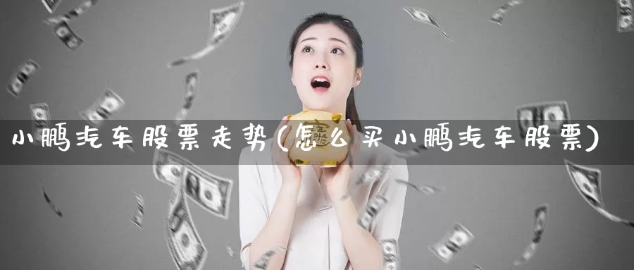 小鹏汽车股票走势(怎么买小鹏汽车股票)_期货百科_第1张_宝勘金融网 小鹏汽车股票走势(怎么买小鹏汽车股票)_https://www.baokan.net_期货百科_第1张
