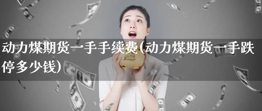 动力煤期货一手手续费(动力煤期货一手跌停多少钱)_https://www.baokan.net_内盘期货_第1张