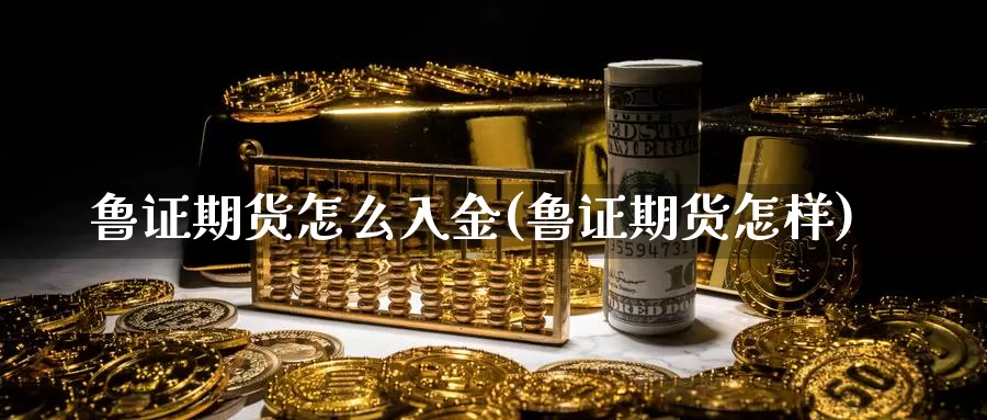 鲁证期货怎么入金(鲁证期货怎样)_https://www.baokan.net_期货分析_第1张
