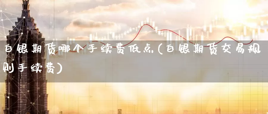 白银期货哪个手续费低点(白银期货交易规则手续费)_https://www.baokan.net_原油期货_第1张