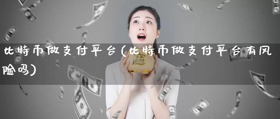 比特币做支付平台(比特币做支付平台有风险吗)_https://www.baokan.net_币圈行情_第1张